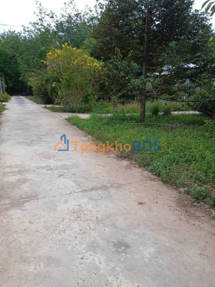 Đất Minh Long 4 Chơn Thành 300m² 550 triệu – Tự do xây dựng