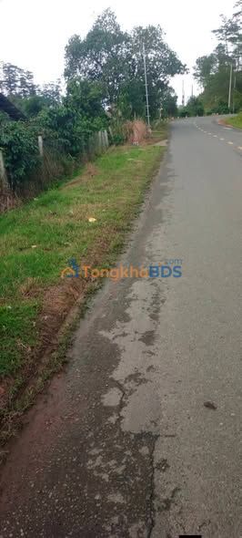 Đất nền Phi Liêng Đam Rông 1,5ha 5,6 tỷ - Sổ đỏ chính chủ