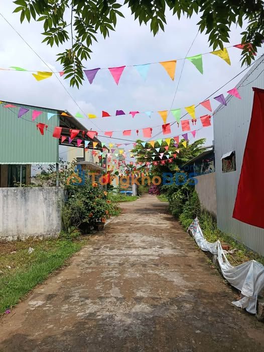 Đất nền Tam Kỳ An Phú 120m² 850 triệu - Đường to ô tô