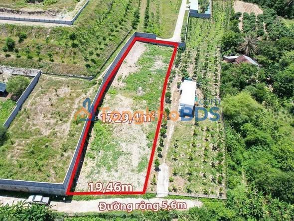 Đất Vàng Diên Khánh 1729m² - Sổ Hồng Thổ Cư 100% - Giá Đầu Tư 2.8 Tỷ