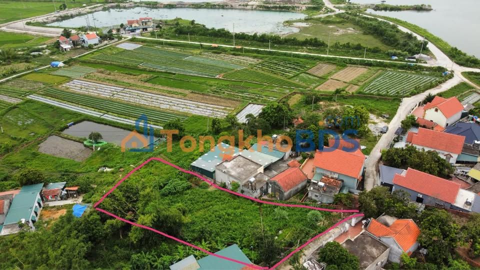Đất nền 3200m² Hoành Bồ, Hạ Long - Đầu tư sinh lời, view đẹp
