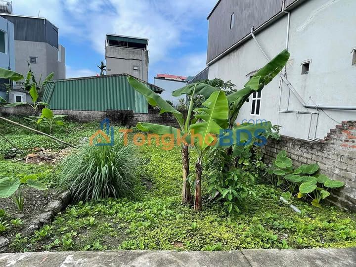 Đất Cẩm Thành Cẩm Phả 59m² giá 800 triệu - Sổ đỏ chính chủ