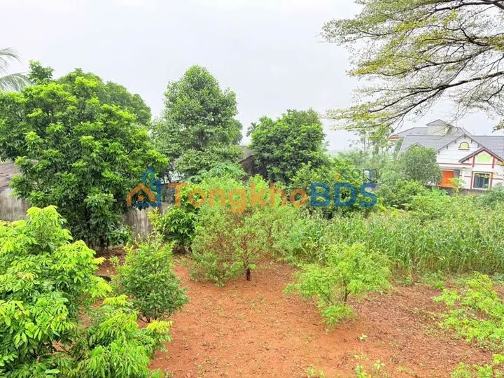 Đất nền Cư Yên 1668m² 5 tỷ - Sổ đỏ chính chủ