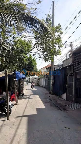 Nhà riêng Ngã Cạy Long Xuyên 40m² - Ô tô vào