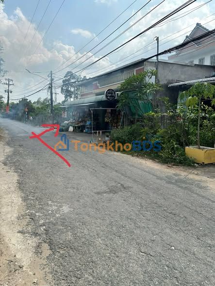 Đất CLN Mỹ Hòa Hưng 2.542m² 3,05 tỷ - Tiềm năng tăng giá