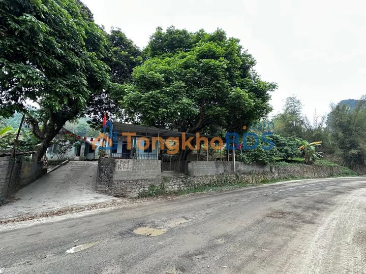 Đất nền Tân Vinh Lương Sơn 3800m² 3.8 tỷ - Giá tốt hiếm có