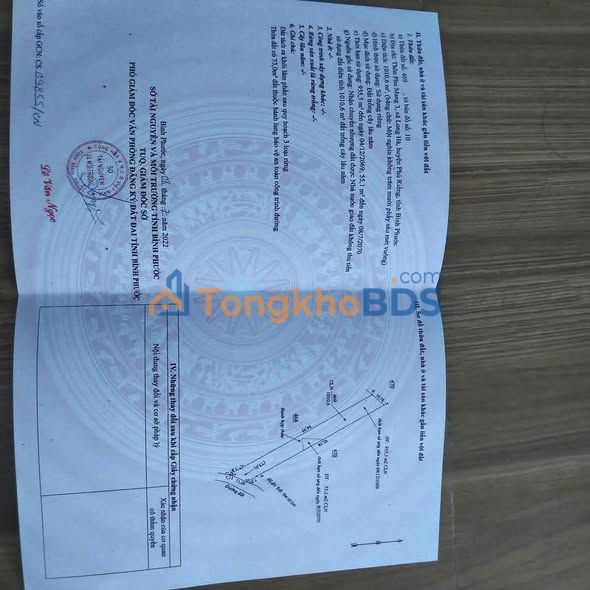 Đất nền Long Hà Phú Riềng 1000m² - Tiềm năng tăng giá