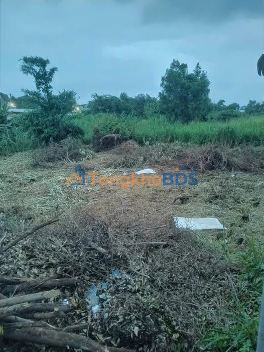 Đất Vườn Biên Hòa 400m² - Giá Đầu Tư 1.19 Tỷ - Sổ Hồng Sẵn Sàng