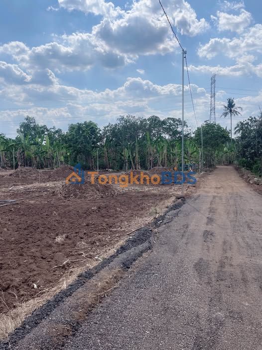 Đất Vườn 11.770m² Hưng Thịnh, Trảng Bom - Giá Đầu Tư Chỉ 400 Triệu/Sào