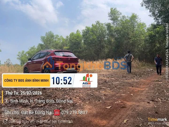 Đất vườn Bình Minh Trảng Bom 1000m² giá 10xx triệu - Đường ô tô rộng