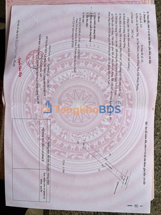 Đất nền Tân Phước Đồng Phú 240m² - 330 triệu, hạ tầng hoàn thiện