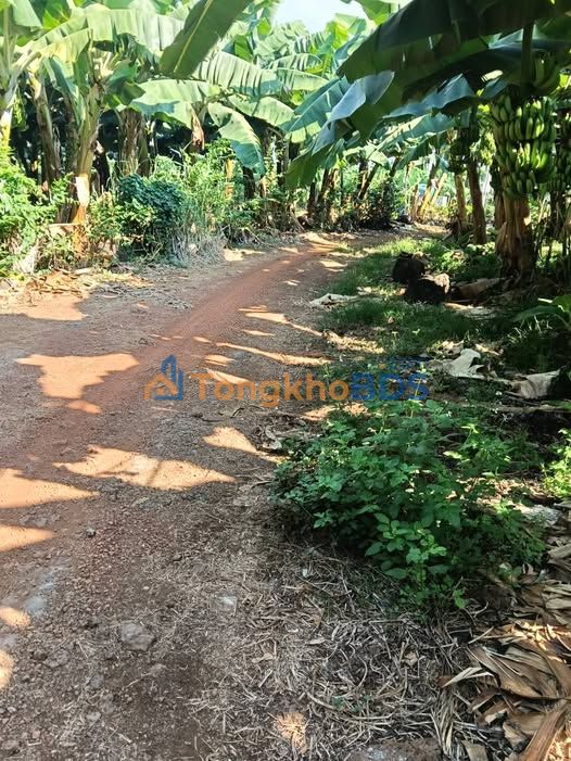 Đất CLN Bàu Hàm 2000m² 1.888 tỷ - Sổ đỏ chính chủ