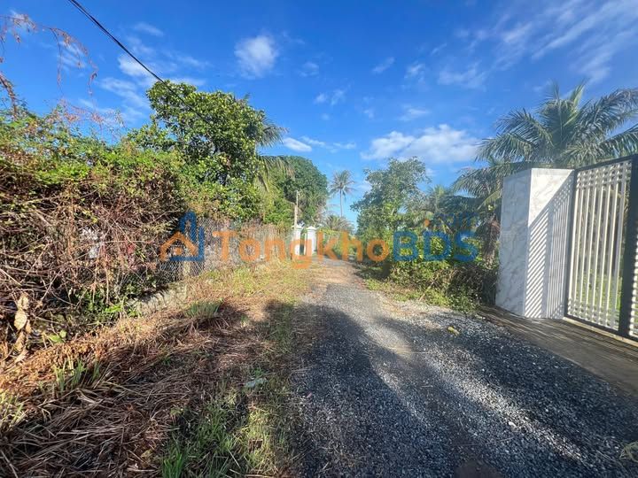 Đất Vườn Nghỉ Dưỡng Phú Cang 1 Bắc - 990m² Giá 950 Triệu - Đường Ô Tô