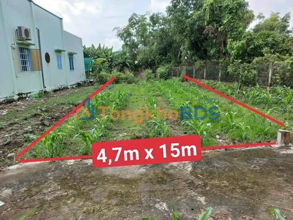 Đất Thổ Cư Cần Giuộc 70m² - Giá Lỗ Sốc 530 Triệu, Sẵn Sổ