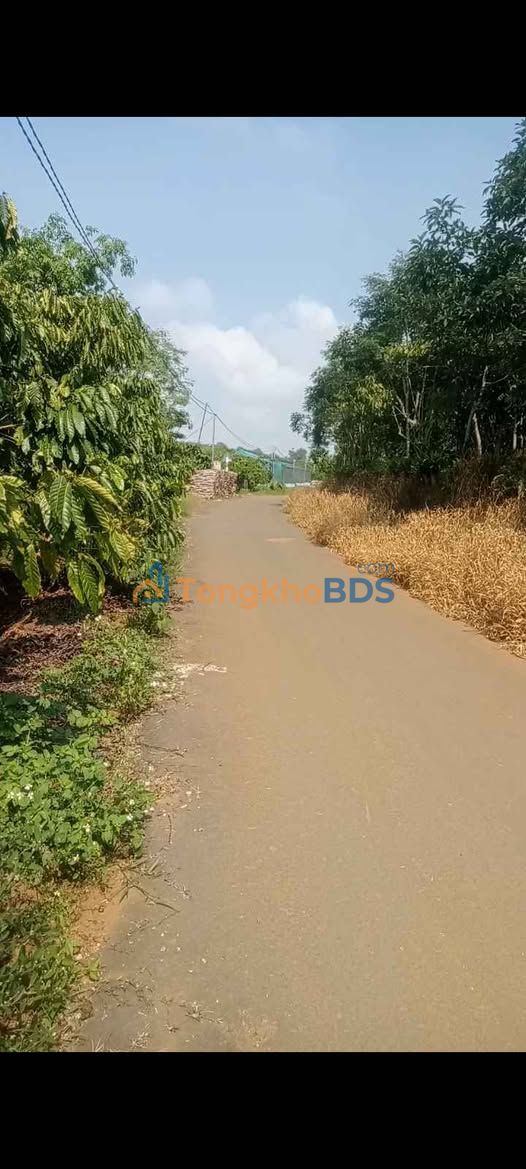 Farm Lộc Thanh Bảo Lộc 2.700m² 5,25 tỷ - Sinh thái xanh