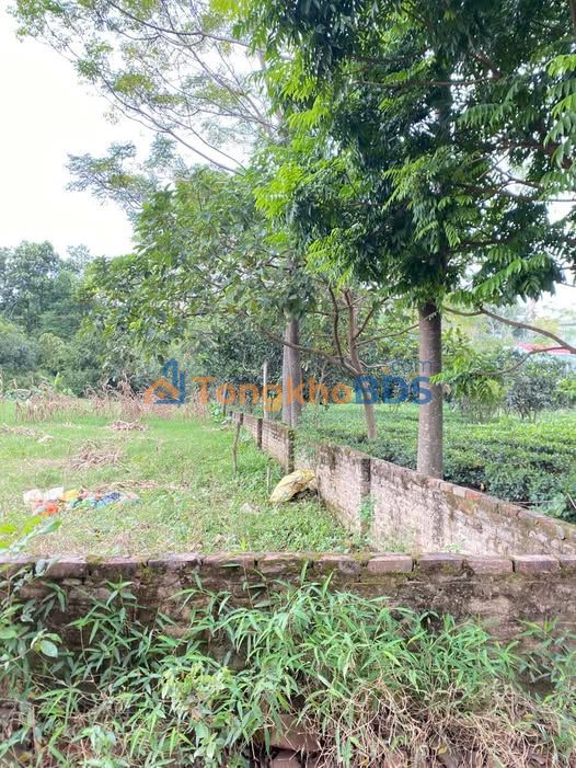 Đất nền Sơn Cẩm Thái Nguyên 280m² 1,3 tỷ - Sổ đỏ chính chủ