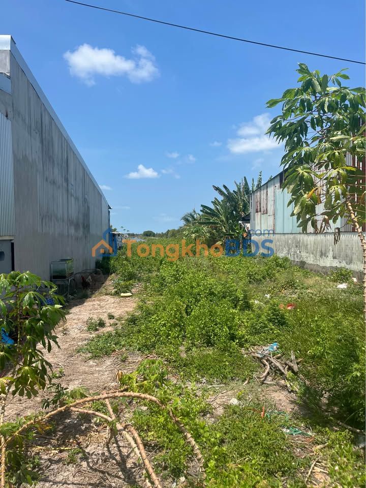 Đất nền Cái Đôi Vàm mặt lộ Hải Thượng 1 tỷ - Sổ đỏ chính chủ