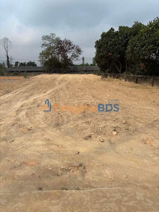 Đất nền Duyên Lãm Phú Thọ 117m² - Đất thổ cư 100%