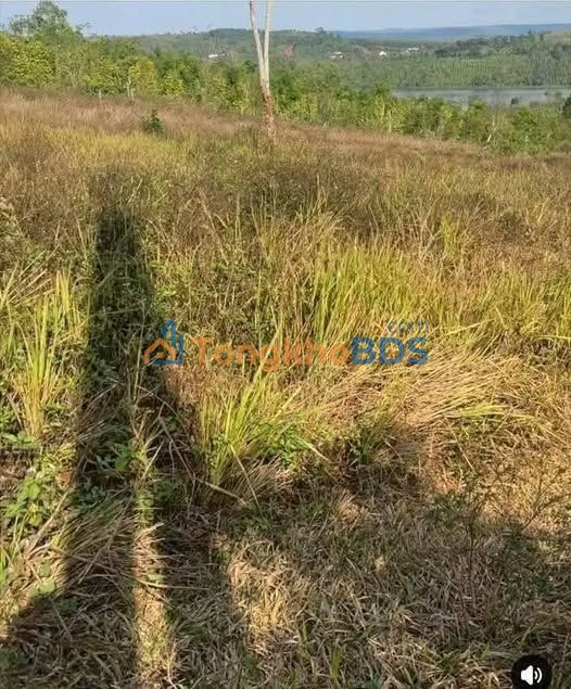 Đất Nền Tuy Đức Đăk Nông - 1440m² Sổ Đỏ Sẵn Sàng, Giá Chỉ 450 Triệu