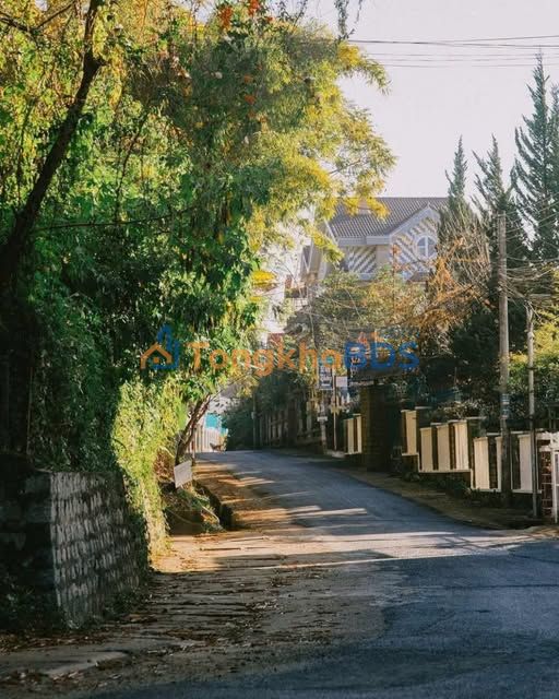 Đất nền Phường 4 Đà Lạt 300m² 0.8 tỷ - Sổ đỏ chính chủ