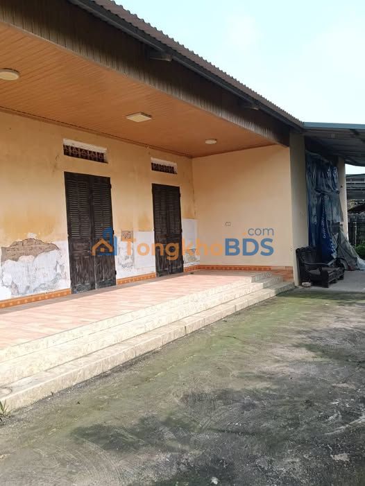 Bán Đất Thổ Cư 160m² Phường Hùng Vương, Phú Thọ - Giá 1.6 Tỷ