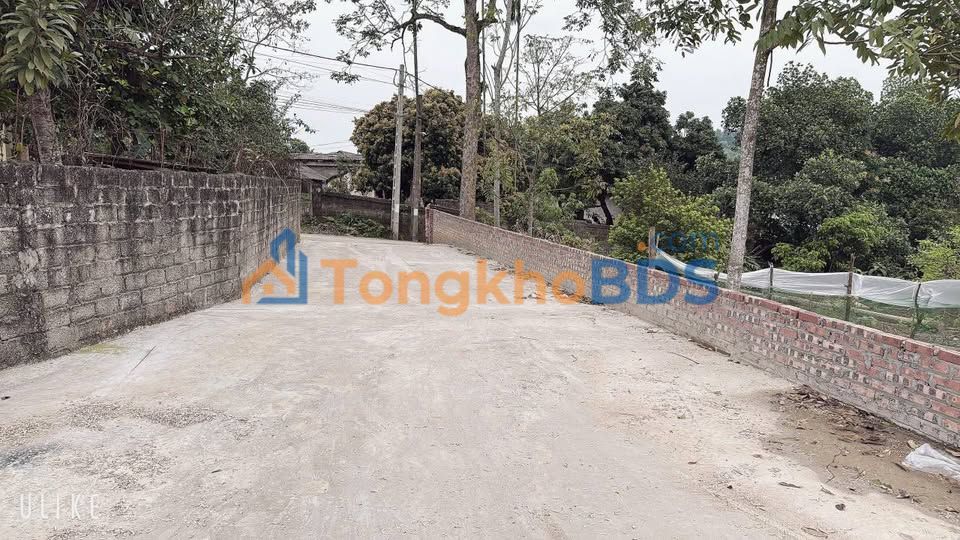 Đất nền Phong Châu Việt Trì 100m² 1.2 tỷ - Sổ đỏ sẵn