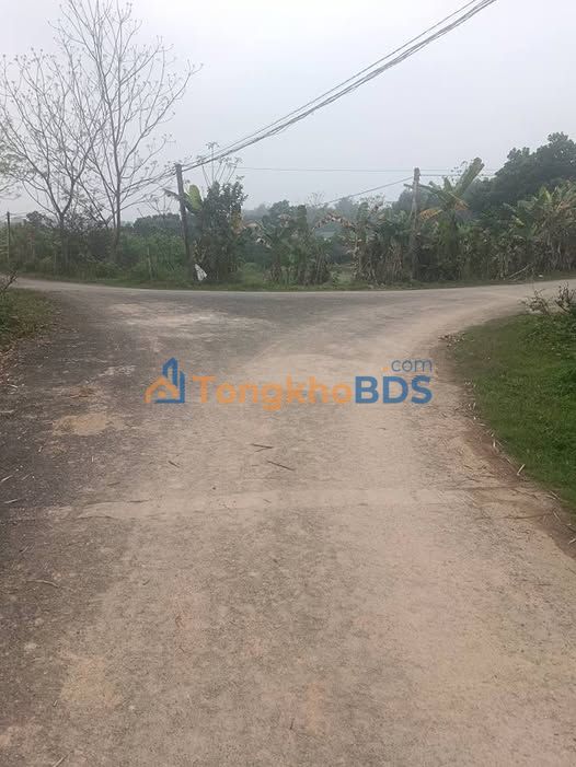 Đất thổ cư Đoan Hùng, Phú Thọ - 175m² - 300 triệu/ô