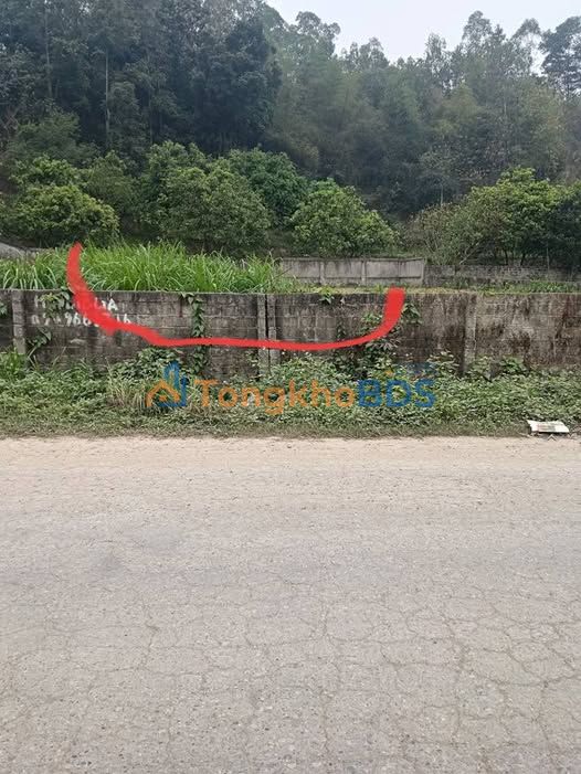 Bán đất Hùng Xuyên, Đoan Hùng, Phú Thọ - 150m², Sẵn Nền, Giá Thỏa Thuận