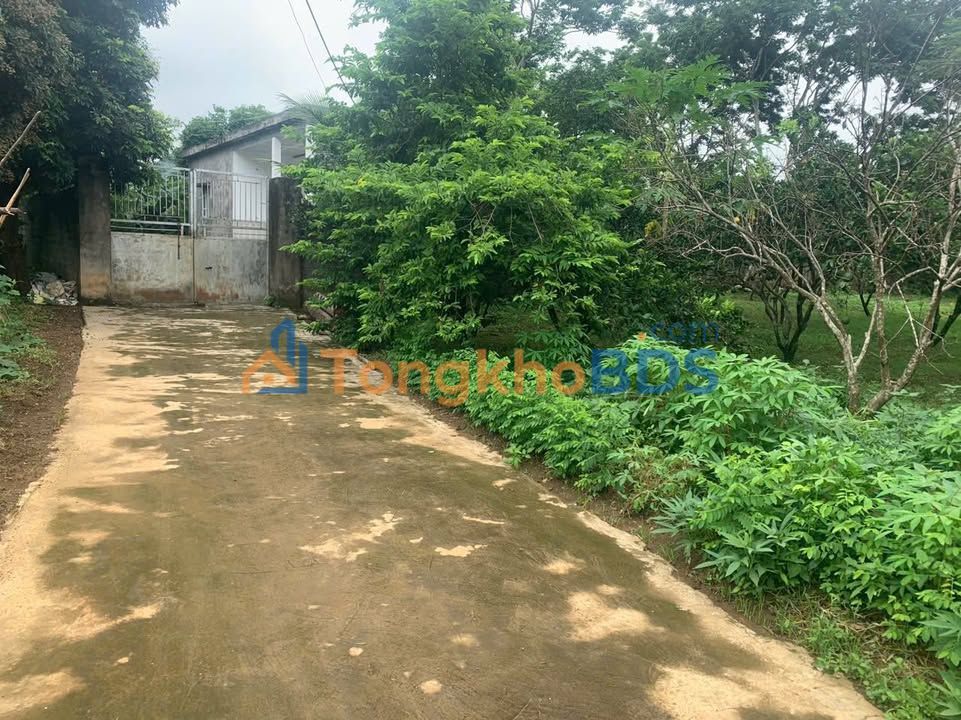 Đất nền Bảo Hiệu Yên Thủy 1.274m² 1 tỷ - Sổ hồng chính chủ