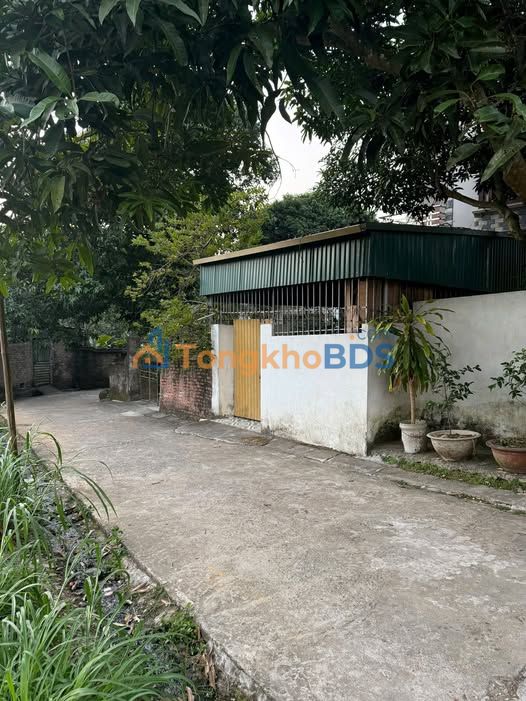 Bán Đất Kim Đức, Việt Trì 101m² - Giá 9xx Triệu, Vuông Vắn, Gần Chợ