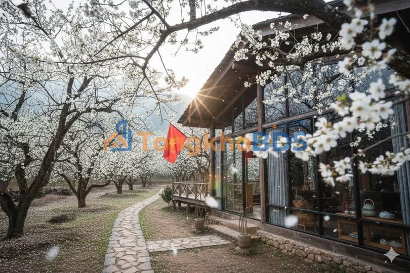 Đất Nền Mộc Châu 165m² - Sổ Đỏ Thổ Cư, Gần Chợ Bảo Tàng