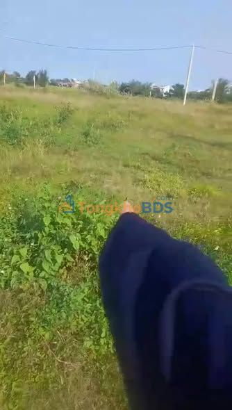 Đất đấu giá Tuy Hòa 110m² 1.9 tỷ - Đường to ô tô