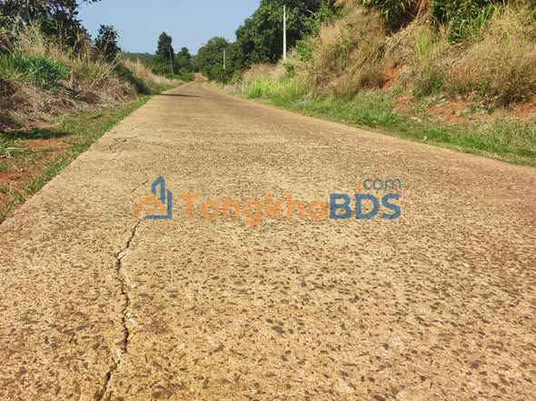 Trang trại cà phê Nhân Cơ 1,2ha 2,7 tỷ - Sinh thái xanh