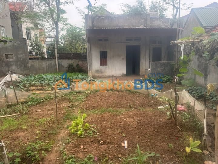 Đất nền Phù Đổng Gia Lâm 217m² 10,633 tỷ - Sổ đỏ chính chủ