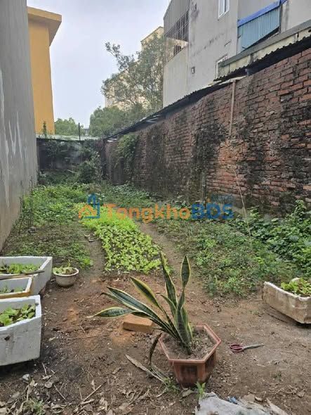 Đất Long Biên 62m² - Ngõ Ba Gác, Sổ Đỏ Chính Chủ, Giá 7 Tỷ