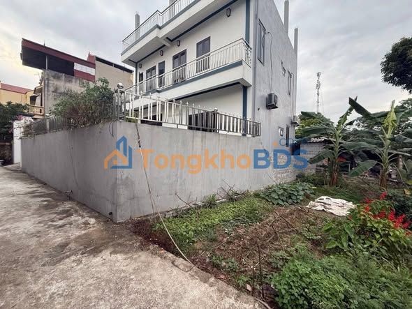 Đất Nền Thường Tín 48m² - 3 Tỷ, Vài Bước Ra Chợ, Sổ Đỏ Vuông Vắn