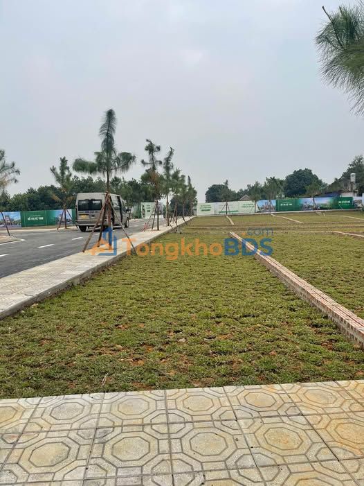 Bán Gấp Đất Hòa Lạc 100m² Sổ Hồng Sẵn Sàng - Gần ĐHQG