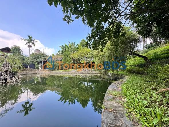 Đất nghỉ dưỡng Yên Xuân 2.500m² - Xây dựng tự do