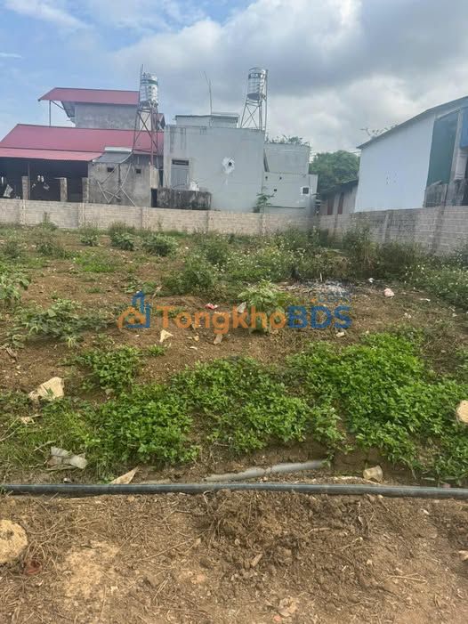 Đất nền Mường Sang Mộc Châu 237m² giá thỏa thuận – Sổ đỏ chính chủ, đầu tư sinh lời