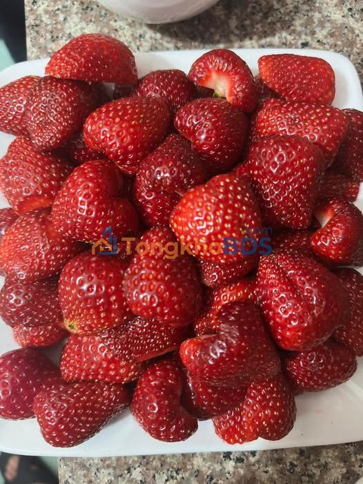 Đất nền Bản Áng Đông Sang 468m² thỏa thuận - Thổ cư 100%