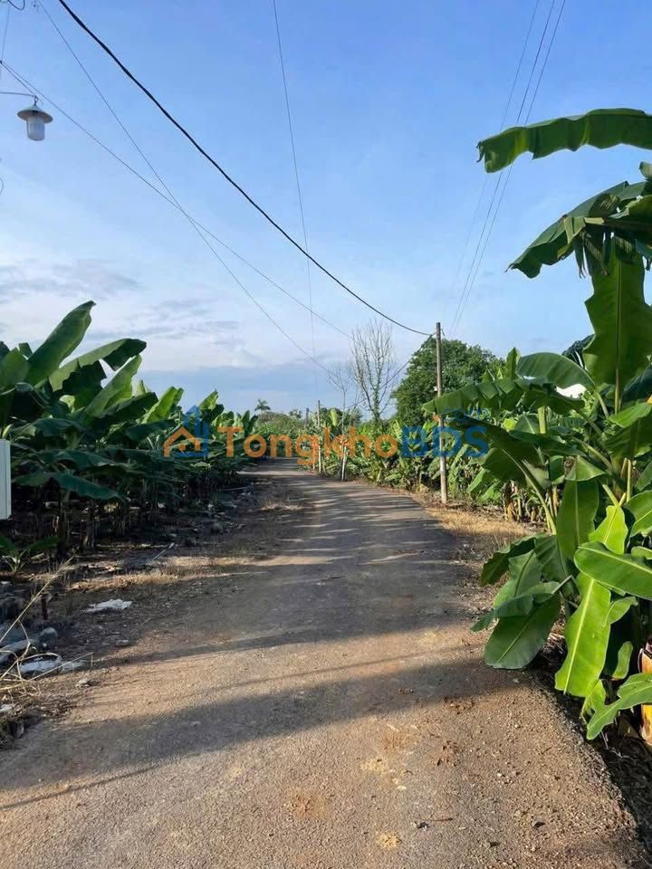 Đất nền Trảng Bom Biên Hòa 508m² 999 triệu - Đường to ô tô