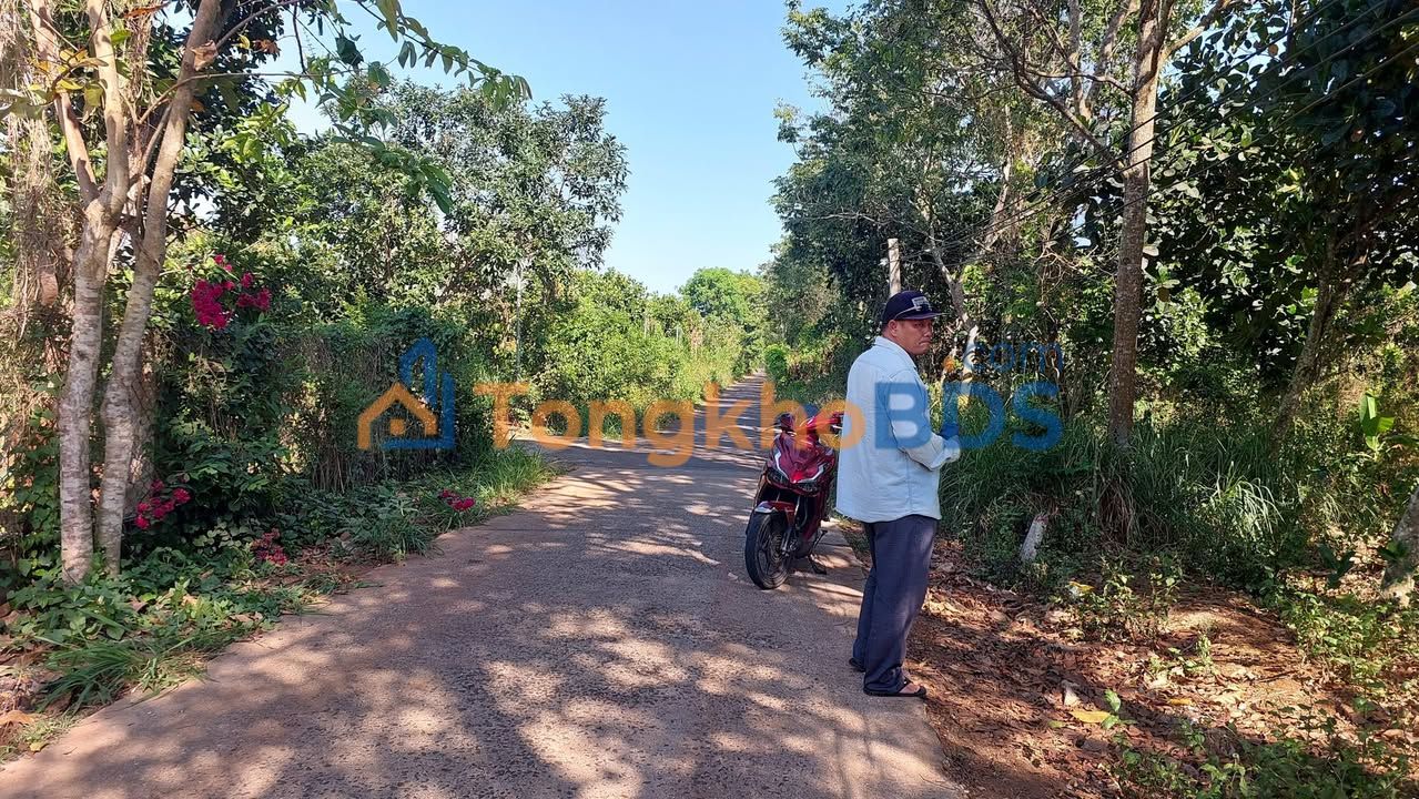 Đất nền Xuân Đông Đồng Nai 180m² 490tr - Sổ đỏ chính chủ