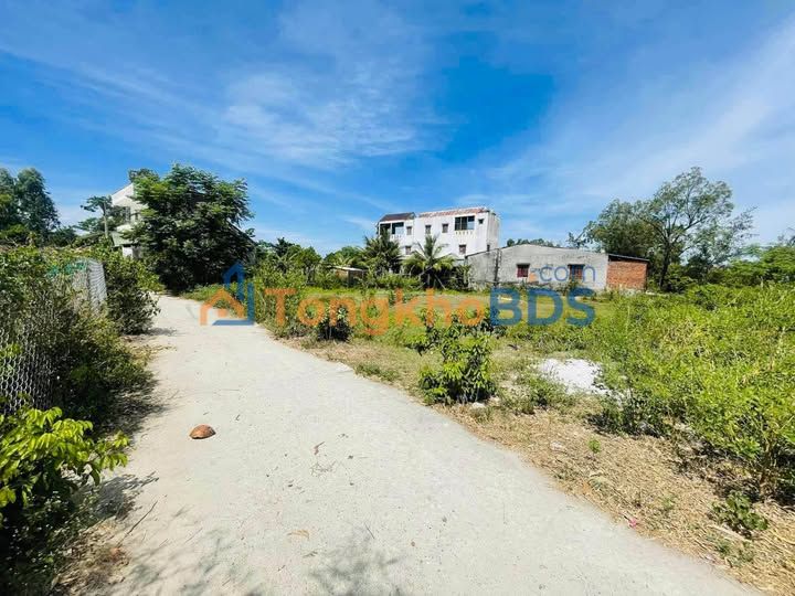 Đất Vườn 800m² Bình Nam, Quảng Nam - Hạ Giá Sốc 100 Triệu, Chỉ 7xx Triệu