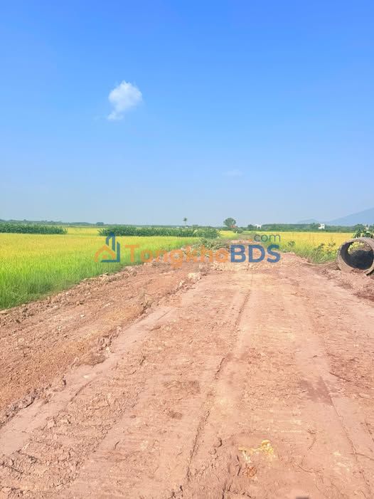 Đất vườn Châu Thành 4.600m² 400-499 triệu - Sổ đỏ