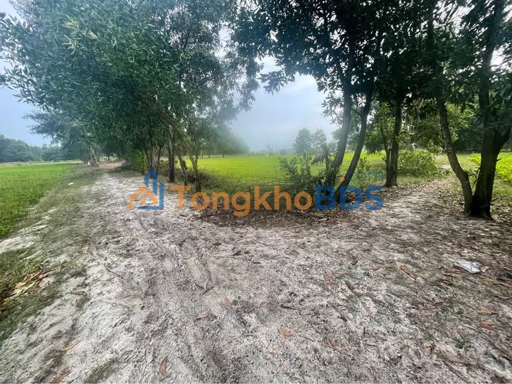 Đất Nền Thăng An (Quảng Nam) 420m² - Sổ Đỏ Rõ Ràng, Giá Đầu Tư 3xx Triệu