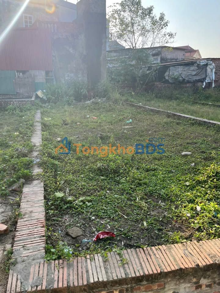 Đất nền Ấp Tre Mê Linh 67m² giá 3 tỷ - Sổ đỏ chính chủ