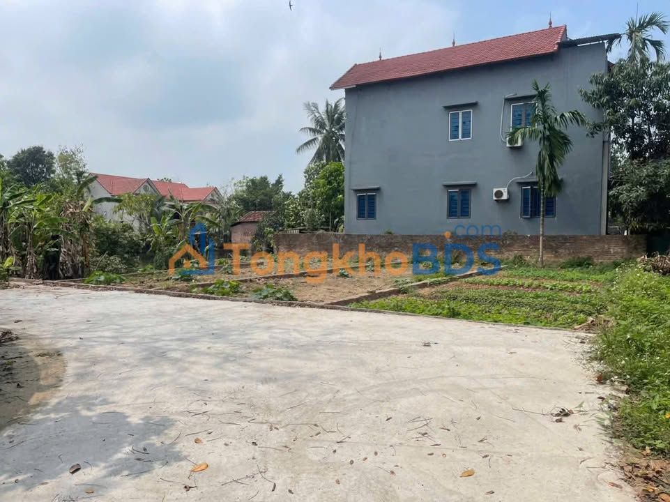 Đất nền Liên Châu Yên Lập 86m² 1 tỷ - Giá tốt hiếm có