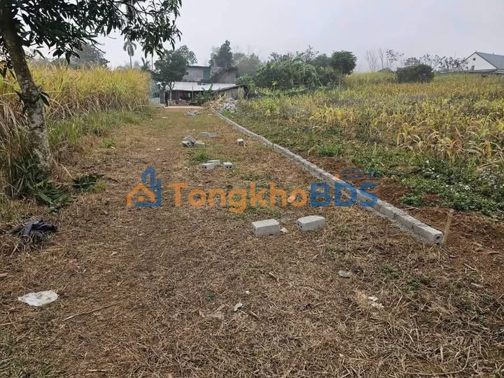 Đất nền Cao Phong 1255m² giá thỏa thuận - Sổ đỏ chính chủ