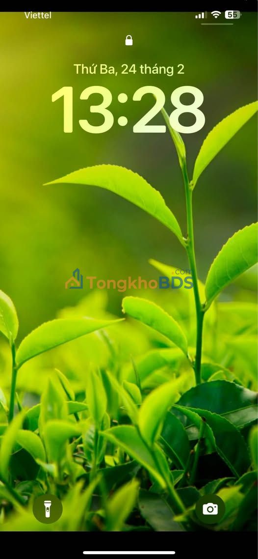 Đất nền Sơn Tây 300m² giá 15 tỷ - Sổ đỏ chính chủ