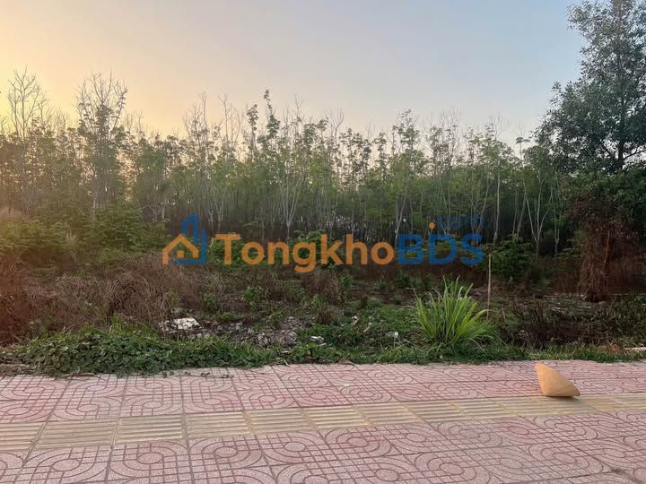 Đất nền Nguyễn Chí Thanh 600m² 5.9 tỷ - Đường to ô tô